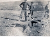 3 Soldiers Standing 2 Laying Down